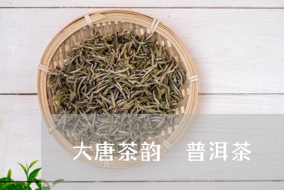 大唐茶韵 普洱茶/2023041207484